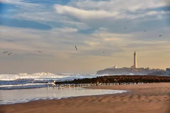 plage d'essaouira